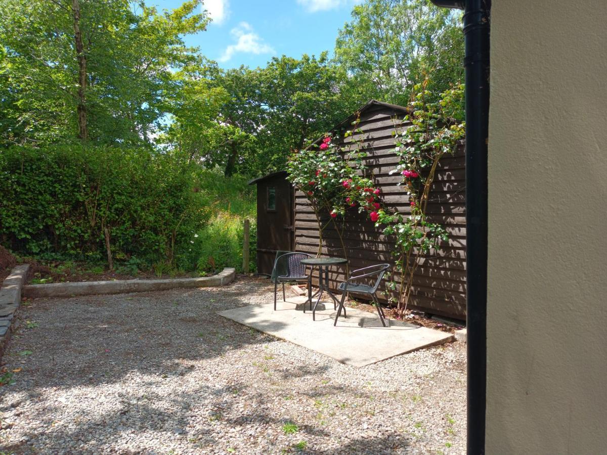 Sea View 1-Bed Cottage With Private Garden Skibbereen Exterior foto